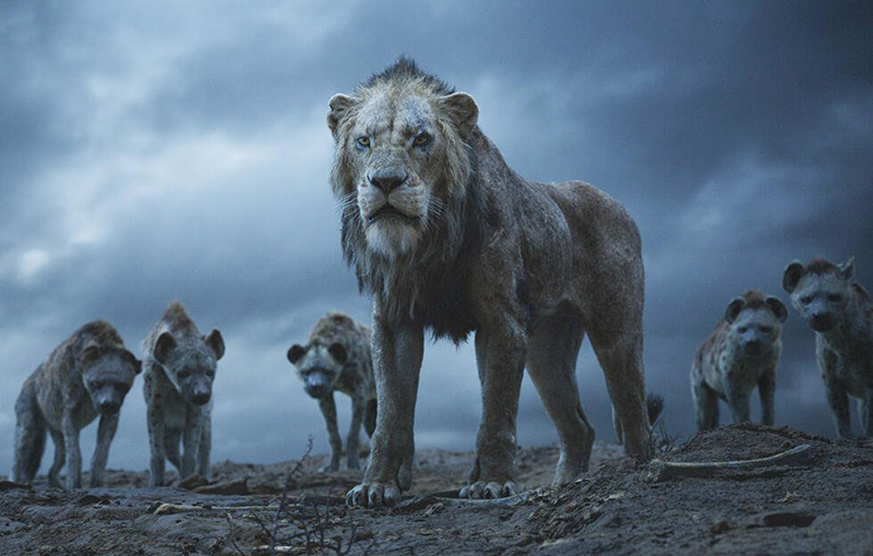 Der König der Löwen, Disney Pictures